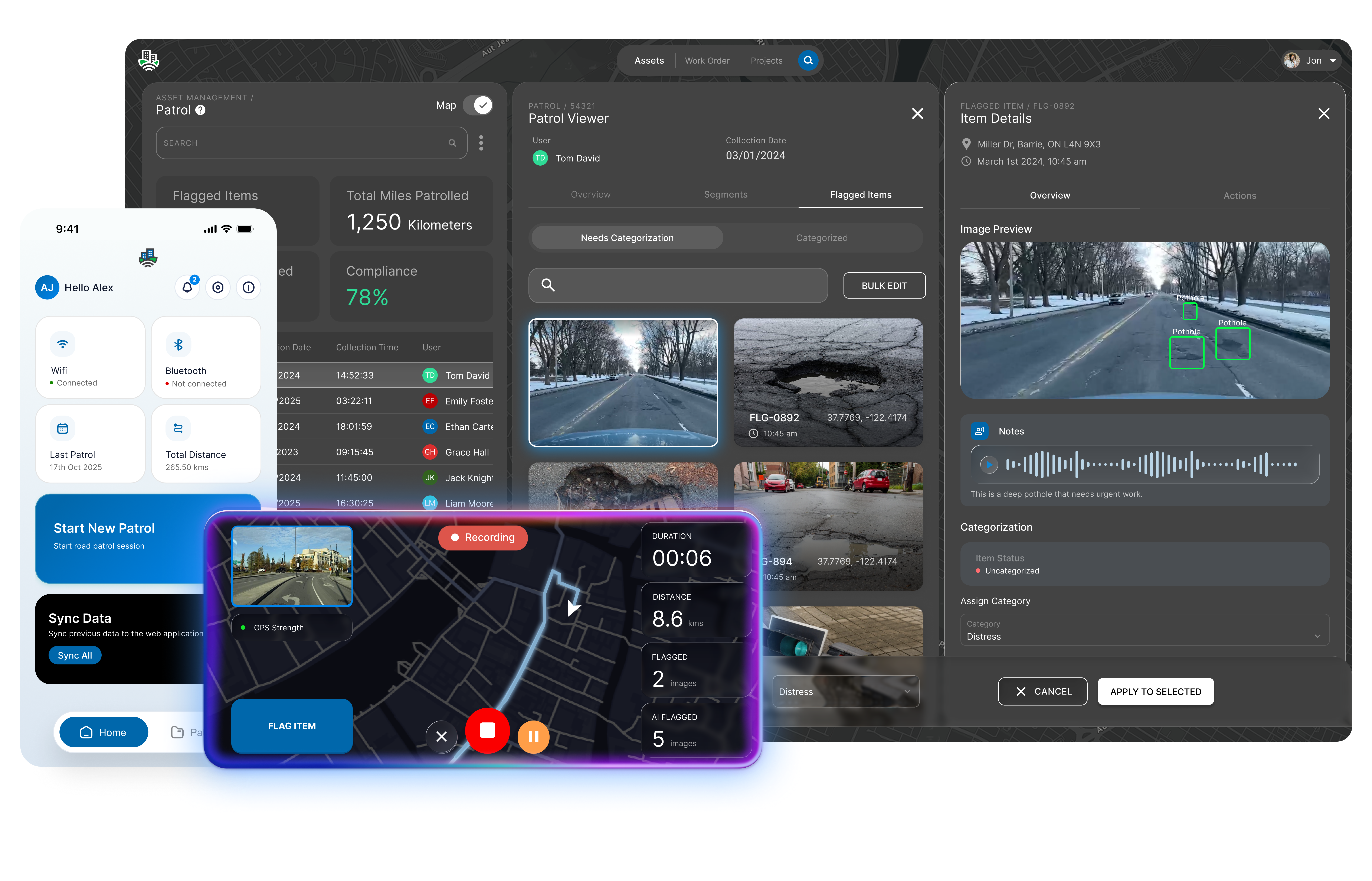 Road assessment screen shot