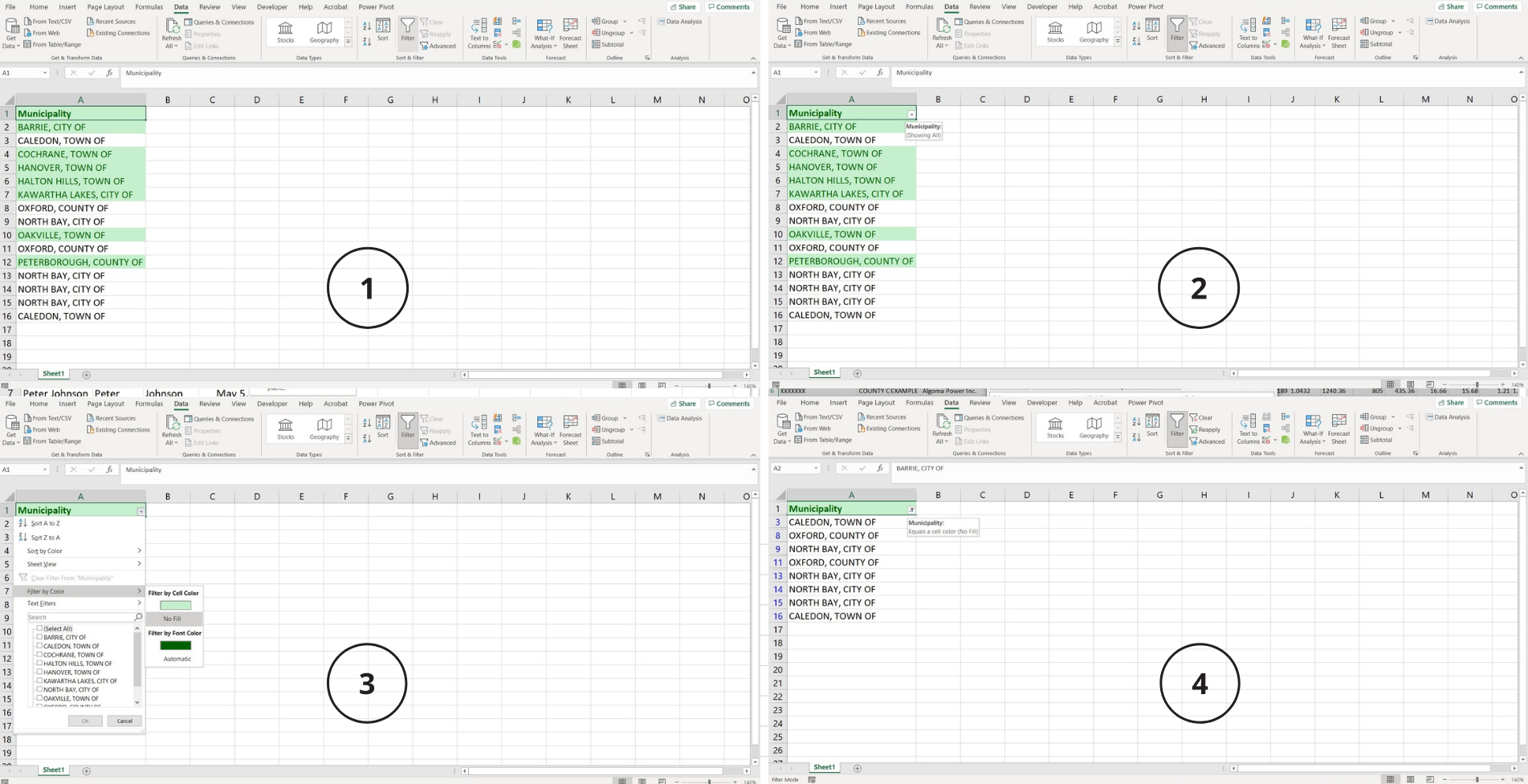 Using Filters Excel graphic