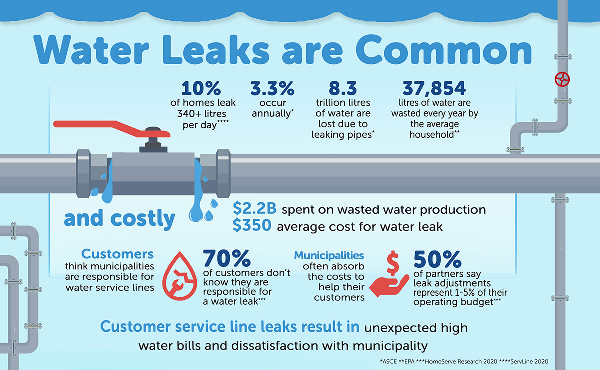 Water Leaks costs infographic