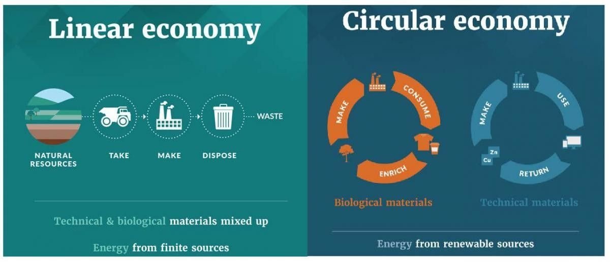 Linear economy vs. circular economy